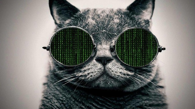 为什么说 Node.js 有望超越J***a？